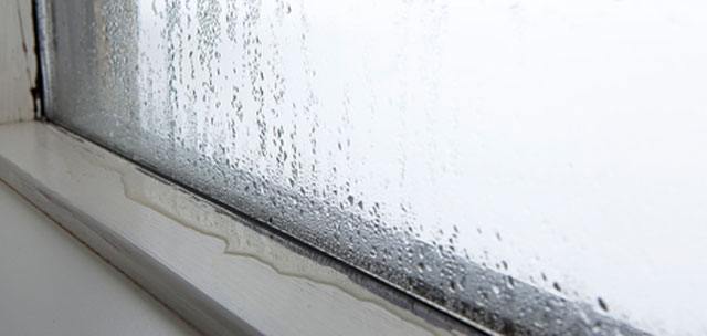 Kondenswasser im Fenster: Ursachen, Vorbeugung, Beseitigung